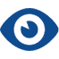 Vision icon