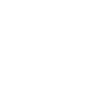 An icon of a shield with a checkmark inside.